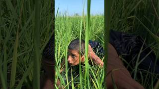 Allah ne jan bacha li india islamicvideo vairalvideo shorts emotional usa foryou [upl. by Arndt945]