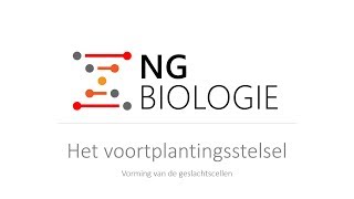 Het voortplantingsstelsel  vorming van de geslachtscellen  HAVOVWO [upl. by Llerrahs]