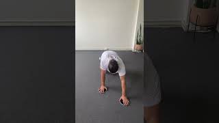 4 point kneeling arm Slides [upl. by Shepp]