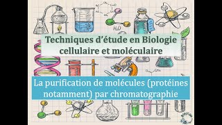 Fiches techniques  Purification de molécules notamment protéines par chromatographie [upl. by Willetta861]