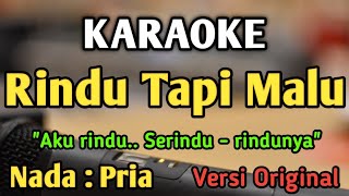 RINDU TAPI MALU  KARAOKE  NADA PRIA COWOK  Versi Original  Cut Rani [upl. by Norraj896]