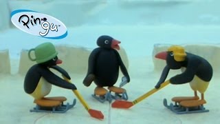 Pingu Pingu Plays Hockey [upl. by Haimes]