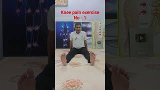 knee pain exercise No  1 yogacharyabajrang kneepain [upl. by Drwde842]