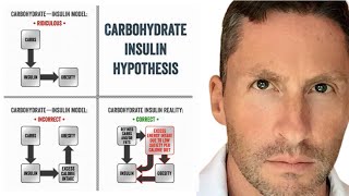 Carbohydrate Insulin Hypothesis  Ted Naiman [upl. by Ardnaid]