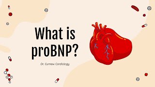 What is proBNP  Tracking Heart Failure  Dr Curnew MD [upl. by Rimidalv]