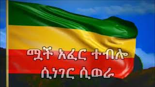 እንደዉ ዘራፌዋ  Teshome Asegid [upl. by Dorfman614]