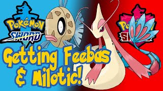 Pokemon Sword and Shield  How to get Feebas and Milotic PokemonSword PokemonShield Feebas [upl. by Aubreir262]