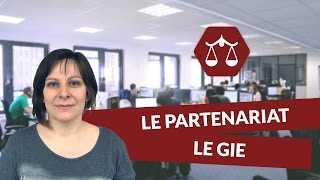 Le partenariat  le GIE  Droit  digiSchool [upl. by Ruffo964]