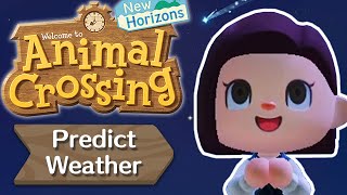 How to use MeteoNook to Predict your Weather  Animal Crossing New Horizons [upl. by Theurer]