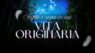 VITA ORIGINARIA  SIGNIFICA SEGUIRE IL PROGETTO DIVINO PER TE [upl. by Irroc802]