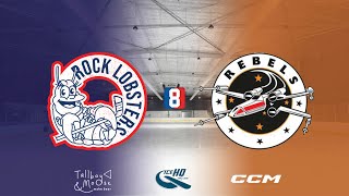 Rock Lobsters v Rebels  Div 8  10th November  iceHQ Rec League ice hockey [upl. by Otsirave]