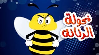 كليب نحوله الزنانه  حنان الطرايره  قناة كراميش Karameesh Tv [upl. by Atsyrk]