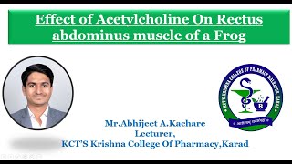 Expt no 10 Effect of Acetylcholine on Rectus Abdomens muscle of Frog [upl. by Cyrille]