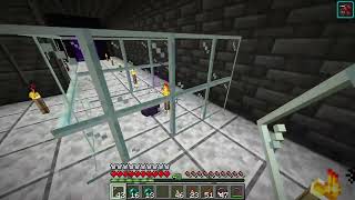 Endermite guide how to get your own permanent pet endermite  Minecraft 121 [upl. by Ahsia]