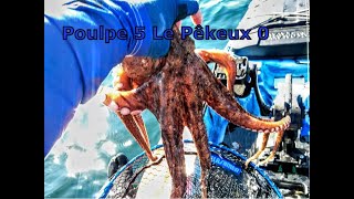 poulpes 5 Le Pêkeux 0 [upl. by Niwdla]