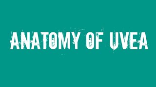 Ophthalmology Anatomy of uvea [upl. by Unni]