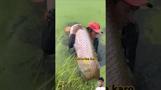 fishing fisherman fish fishermanlife carpfishing fishermanslife fishingtips fishermans [upl. by Honey]