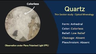 Quartz in Thin Section under Microscope  Optical Mineralogy PPL Cleavage Pleochroism twinning [upl. by Idna]