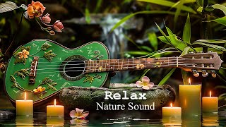 Relaxing Piano Music  Insomnia and Healing 🌿 Relaxing Music Sleep Music Meditation Nature Sound [upl. by Mechelle50]