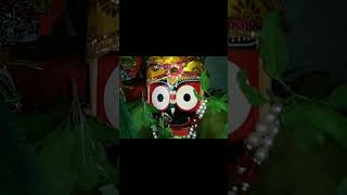 Jagannath odia bhajan 🙏🙏 jagannathbhajan shortvideo [upl. by Hills]