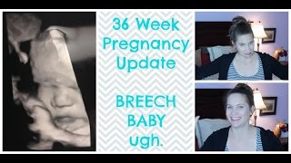 36 Week Update  BREECH BABY 3 [upl. by Placia]