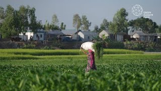 GCF in Bangladesh Enhancing the climate resilience of remote char communities [upl. by Clarence]