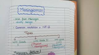 Meningioma Pathology [upl. by Adieno4]