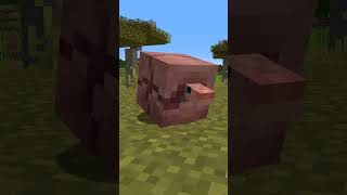 🌟 GÜRTELTIER XP FARM minecraft minecraftshorts minecrafttutorial [upl. by Tonjes]