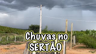 Muita chuva no sertão da Bahia [upl. by Lenahtan]