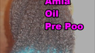 How to use Amla oil for prepoo on fine natural hair [upl. by Mozart844]