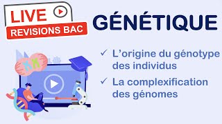 Révisions BAC spé SVT  GÉNÉTIQUE [upl. by Grobe494]