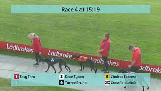 Crayford Greyhounds Races on 18th October 2024 [upl. by Oilerua914]