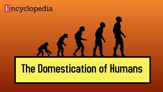 The Domestication of Humans [upl. by Eve]