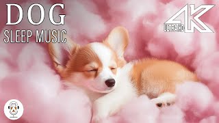 Relaxing Music For Stressed Dogs Help Dogs Sleep Well Give Your Dog The Most Relaxation [upl. by Eisle587]