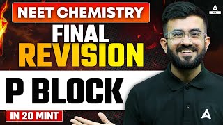 P Block Elements One Shot  FINAL REVISION  NEET 2024  Nitesh Devnani [upl. by Griffith]