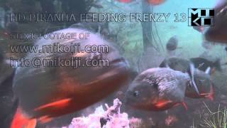 PIRANHA FEEDING FRENZY 13 HD [upl. by Imoyik270]