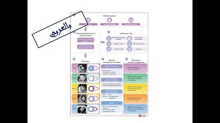 1 Definition amp Classification of CMs Arabic Version [upl. by Indys]