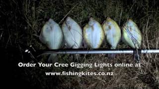 Spearing Flounder at Whangarei With Underwater Gigging Lights [upl. by Nolad30]