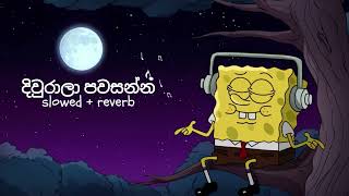 දිවුරාලා පවසන්න  Diurala Pawasanna  Slowed Reverb [upl. by Acirretahs418]