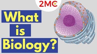 What is Biology  Biology Areas of Study and Definition [upl. by Raeann900]