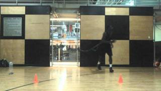 X Recovery Cone Drill TAPE Training Systems [upl. by Niaz]