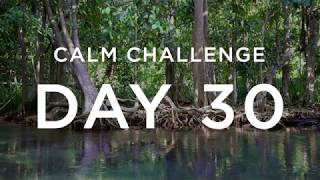 Calm Challenge  Day 30 [upl. by Amled]