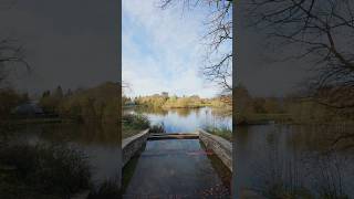 Sneak Peak Sundays  Gnoll Country Park and Neath Canal autumn neath canal greatdogwalks [upl. by Geminian]