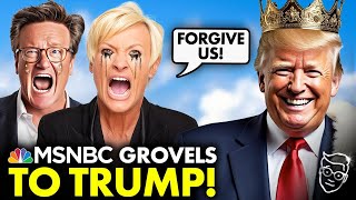 MSNBC in FLAMES Joe and Mika Grovel To Trump at MaraLago BEG Forgiveness as Ratings Collapse 🤣 [upl. by Leacim]