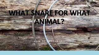 What Type of Snare for What Animal [upl. by Ardnaeed]