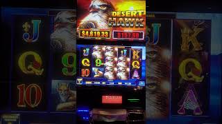 Ainsworth desert hawk bonus slot casino [upl. by Anayi]