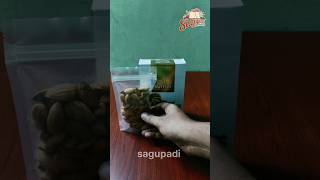 Nuts Box sagupadi foods shorts trendingshorts [upl. by Rigby974]