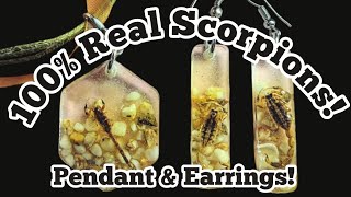 100 Real Scorpions Scorpion Earrings and Pendant MonettMcHazlettErmis [upl. by Dnomaid492]