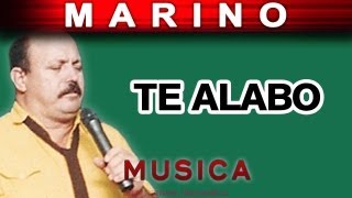 Marino  Te Alabo musica [upl. by Ayisan259]