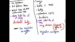 Pathology CVS4  Infective endocarditis AlAmeed university [upl. by Fanchie]